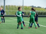 S.K.N.W.K. JO8-1 - Luctor Heinkenszand JO8-1JM (beker) 2024-2025 (1e fase) (107/110)